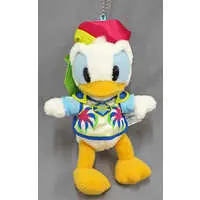 Plush - Disney / Donald Duck