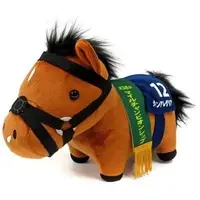 Plush - Thoroughbred collection