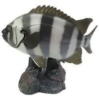 Trading Figure - Primary Color Saltwater Fish Encyclopedia