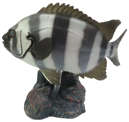 Trading Figure - Primary Color Saltwater Fish Encyclopedia