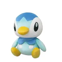 Plush - Pokémon / Piplup (Pochama)