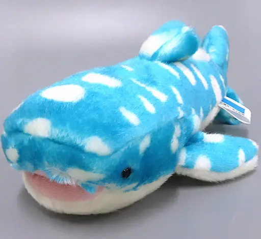 Plush - Okinawa Churaumi Aquarium