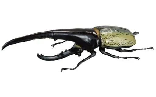 Trading Figure - Hercules Beetle