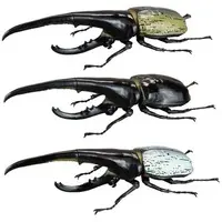 Trading Figure - Hercules Beetle