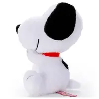 Plush - PEANUTS / Snoopy