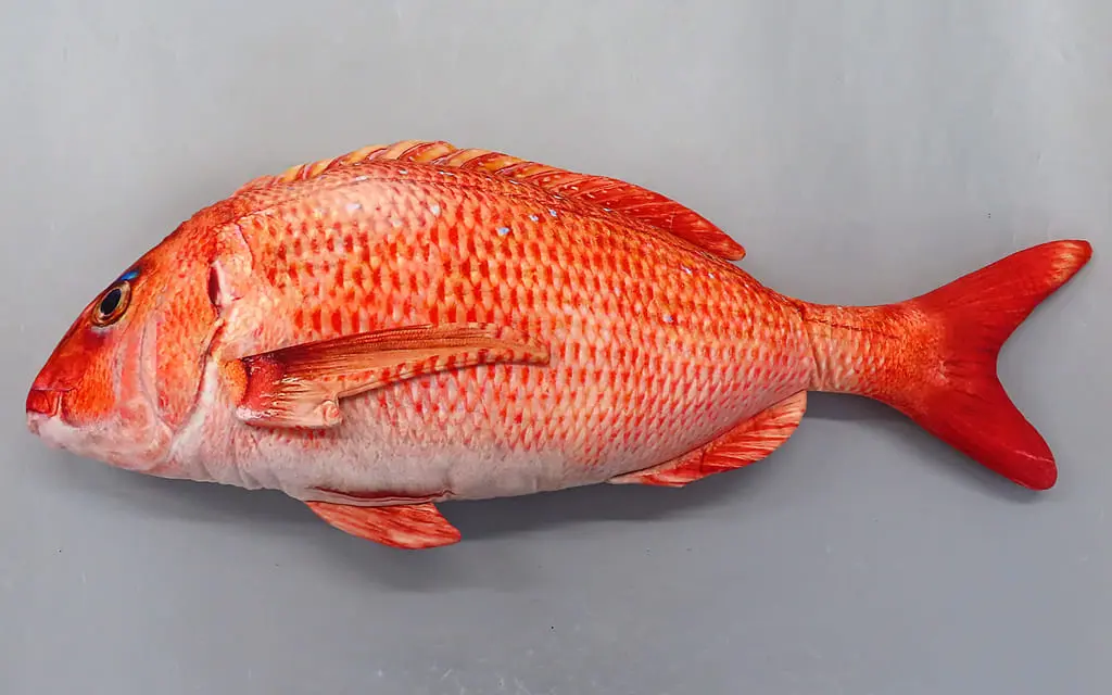 Plush - Sea bream