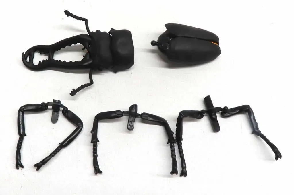 Trading Figure - Modeling Beetles