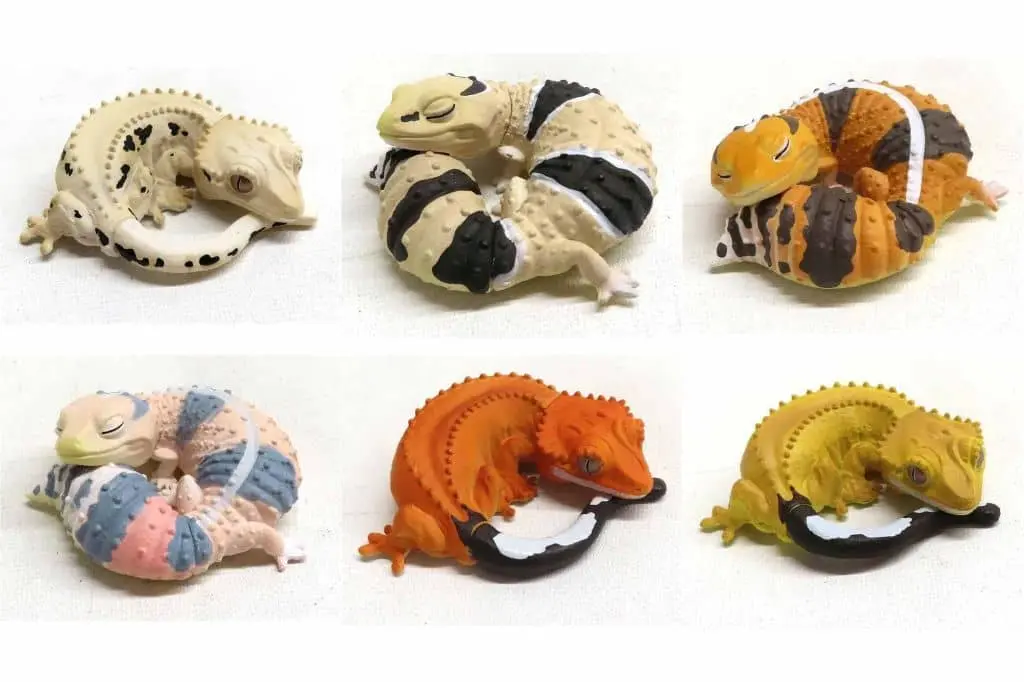 Trading Figure - West African Fat-tailed Gecko and Crested Gecko