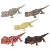 Trading Figure - Illustrated encyclopedia of creatures Repti