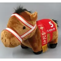 Plush - Thoroughbred collection