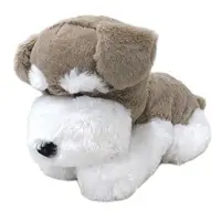 Plush - Dog