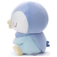 Plush - Pokémon / Piplup (Pochama)