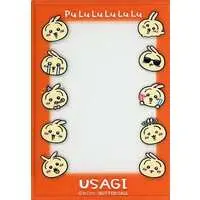 Card case - Chiikawa / Usagi