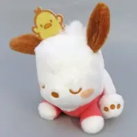 Plush - Sanrio / Pochacco