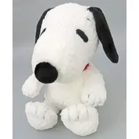 Plush - PEANUTS / Snoopy