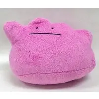 Plush - Pokémon / Ditto