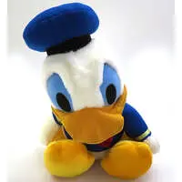 Plush - Disney / Donald Duck