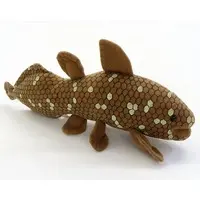 Plush - Coelacanth