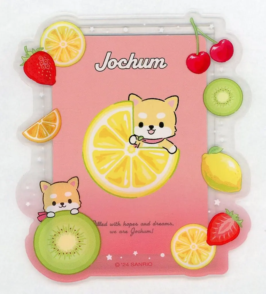 Card case - JOCHUM