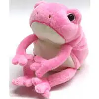 Plush - Frog