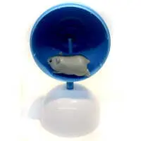 Trading Figure - Korokoro collection