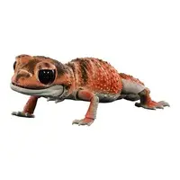 Trading Figure - Ikimono Daizukan