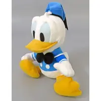 Plush - Disney / Donald Duck