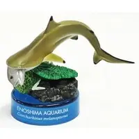 Trading Figure - Enoshima Aquarium