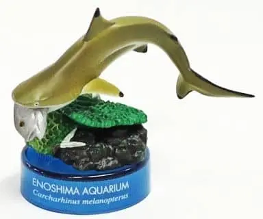 Trading Figure - Enoshima Aquarium