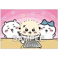 Portrait - Chiikawa / Chiikawa & Hachiware & Rakko