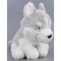 Plush - Siberian Husky