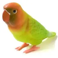 Trading Figure - Parakeet