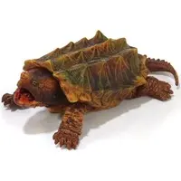 Trading Figure - Ikimono Daizukan