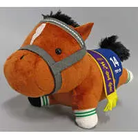 Plush - Thoroughbred collection