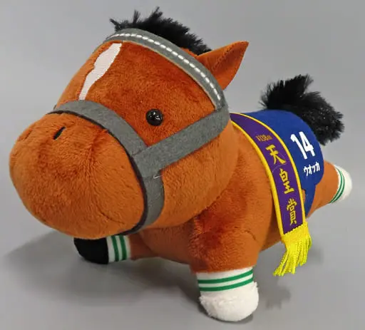 Plush - Thoroughbred collection