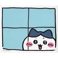 Stickers - Chiikawa / Hachiware