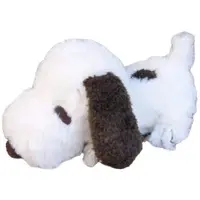 Plush - PEANUTS / Snoopy