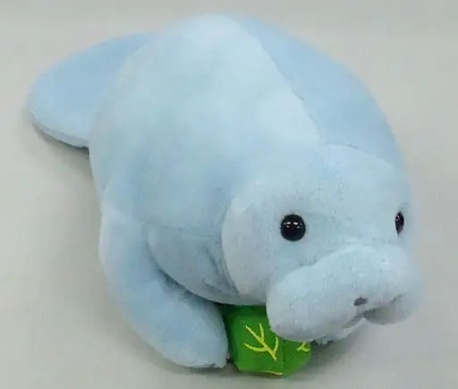 Plush - Okinawa Churaumi Aquarium