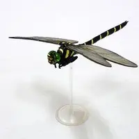 Trading Figure - Primary Color Japanese Insect Encyclopedia