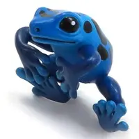 PUTITTO - Frog