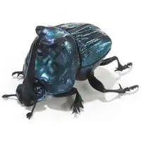 Trading Figure - Ikimono Daizukan