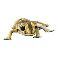 Trading Figure - Ikimono Daizukan