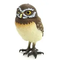 Trading Figure - Kaiyodo CapsuleQ Museum / Burrowing owl