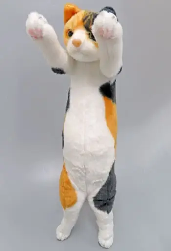 Plush - Tacchi Zoo