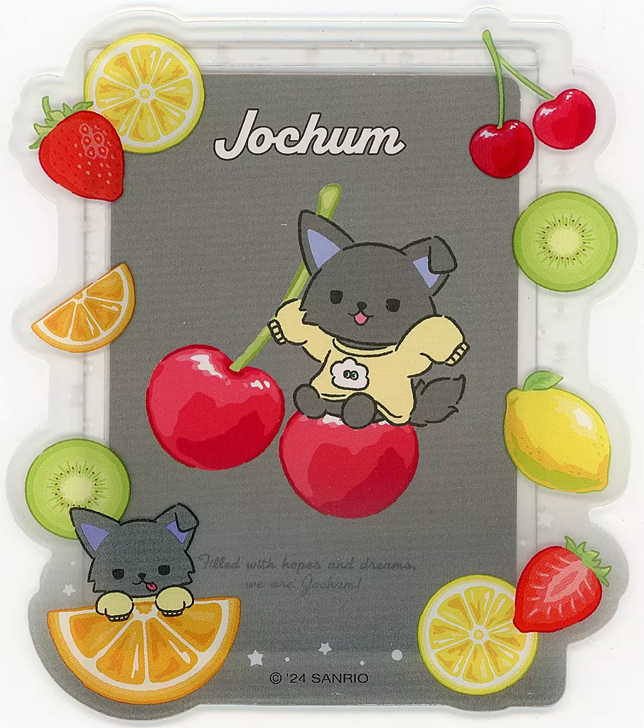 Card case - JOCHUM