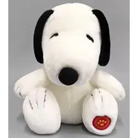 Plush - PEANUTS / Snoopy