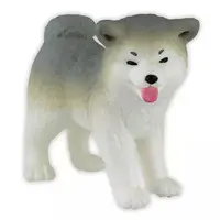 Trading Figure - Akita Inu