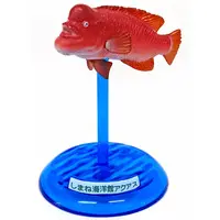 Trading Figure - Japan Aquariums