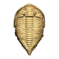 Trading Figure - Dinosaur fossil