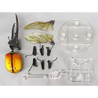 Trading Figure - Ikimono Daizukan